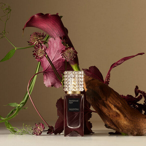 Un flacon de parfum Valentino place a cote de fleurs rouge fonce et d’elements naturels textures, sur un fond clair et doux.